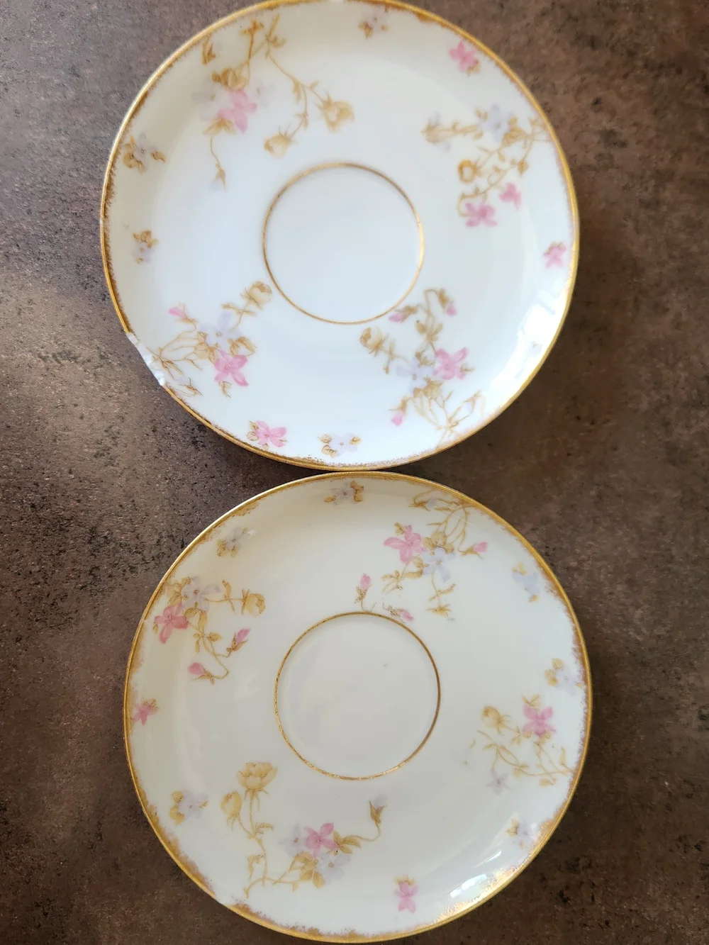 Antique Elite Works Limoges France Porcelain Saucers Set of 2 Pink Floral Design